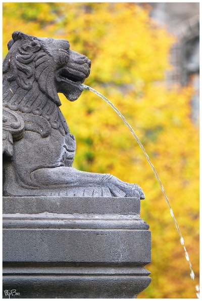 图聚科技